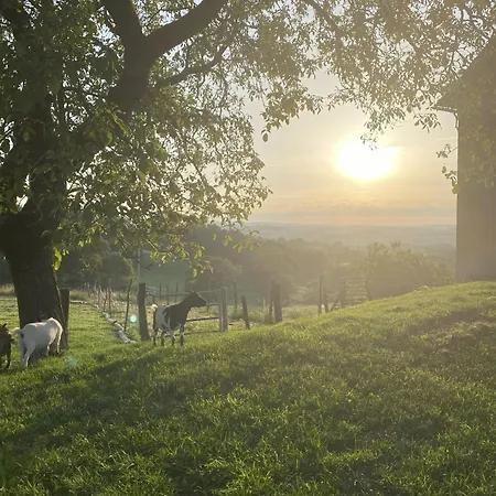Bed & Breakfast D'hotes - Le Jardin De La Guionie 3*